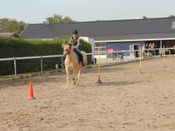 img_7468_web
